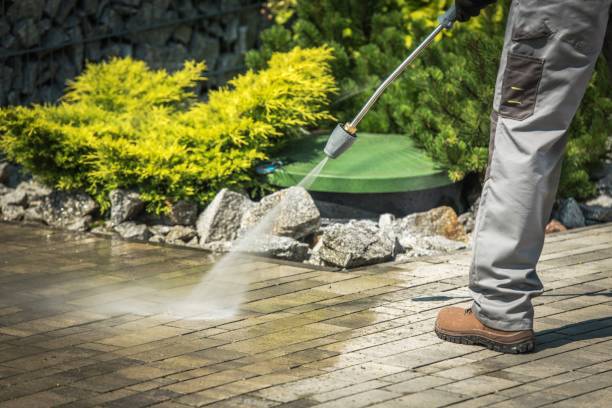 Best Building Exterior Pressure Washing in Steele, MO