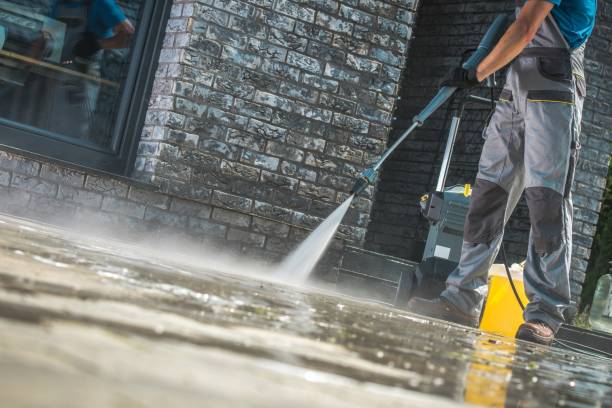 Best Driveway Cleaning and Restoration in Steele, MO