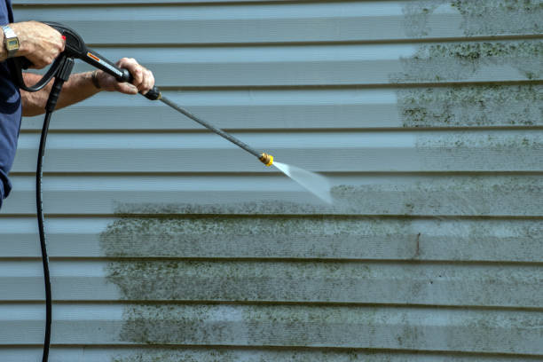 Best Window and Screen Pressure Cleaning in Steele, MO