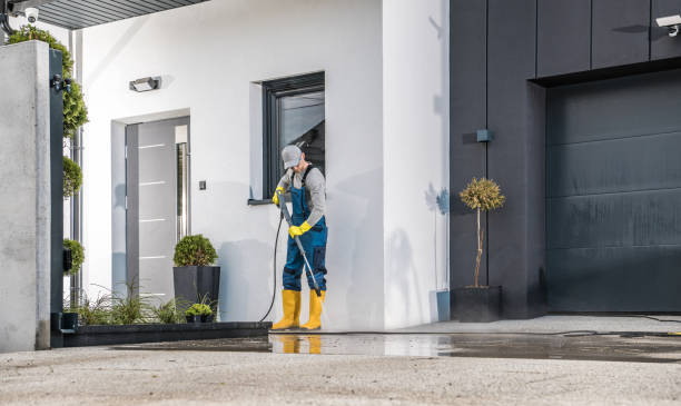 Best Vinyl Siding Pressure Washing in Steele, MO